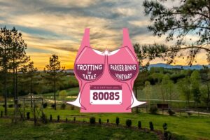 Trotting for Tatas 5k and Ultra